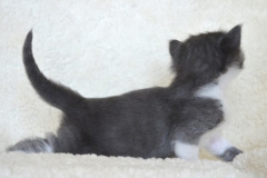 DSC_0074-1024x678[1]