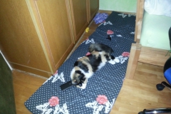 2.Woche